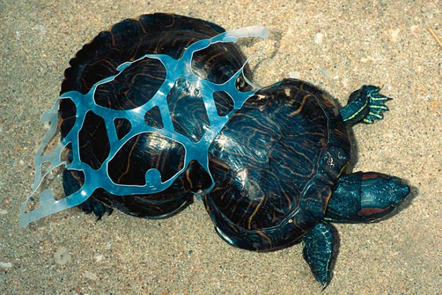 Oceanos inundados de basura