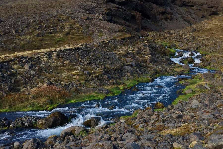 Día mundial del medio ambiente